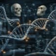 Эпигенетическая летопись человечества: естественный отбор перепаял «выключатели» наших генов